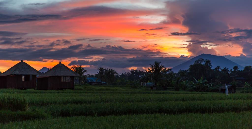 Solo Villas & Retreat Ubud  Ngoại thất bức ảnh