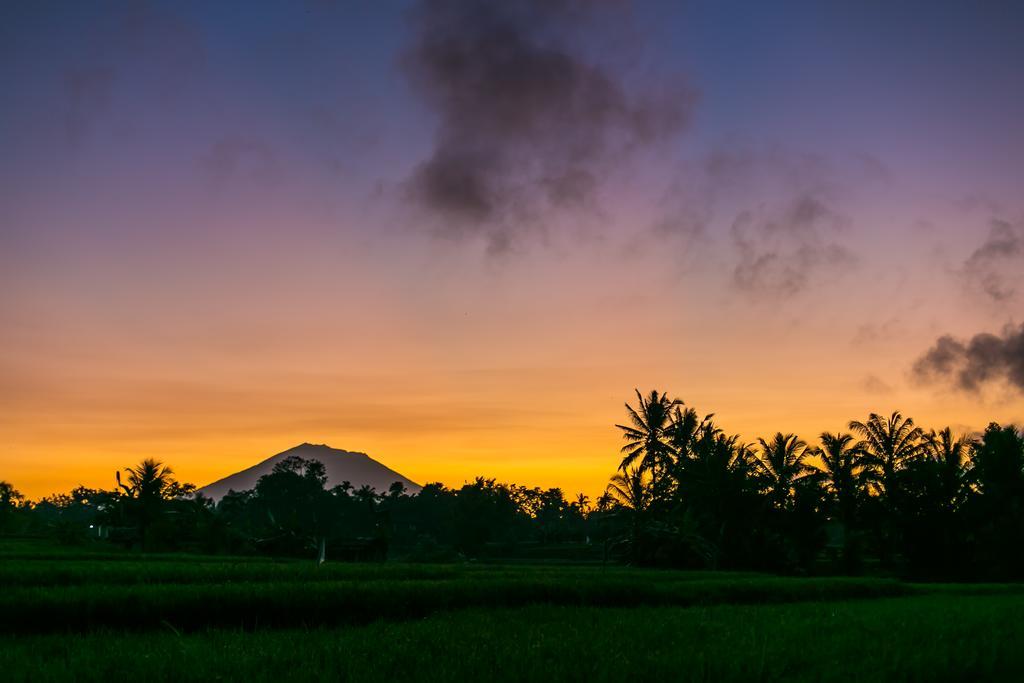 Solo Villas & Retreat Ubud  Ngoại thất bức ảnh