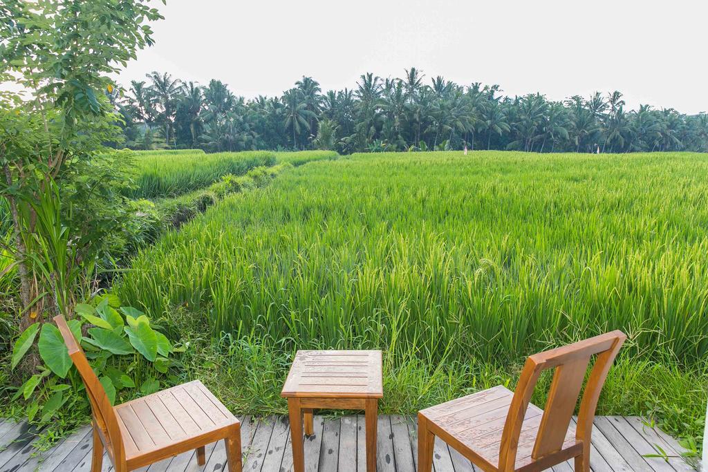 Solo Villas & Retreat Ubud  Ngoại thất bức ảnh