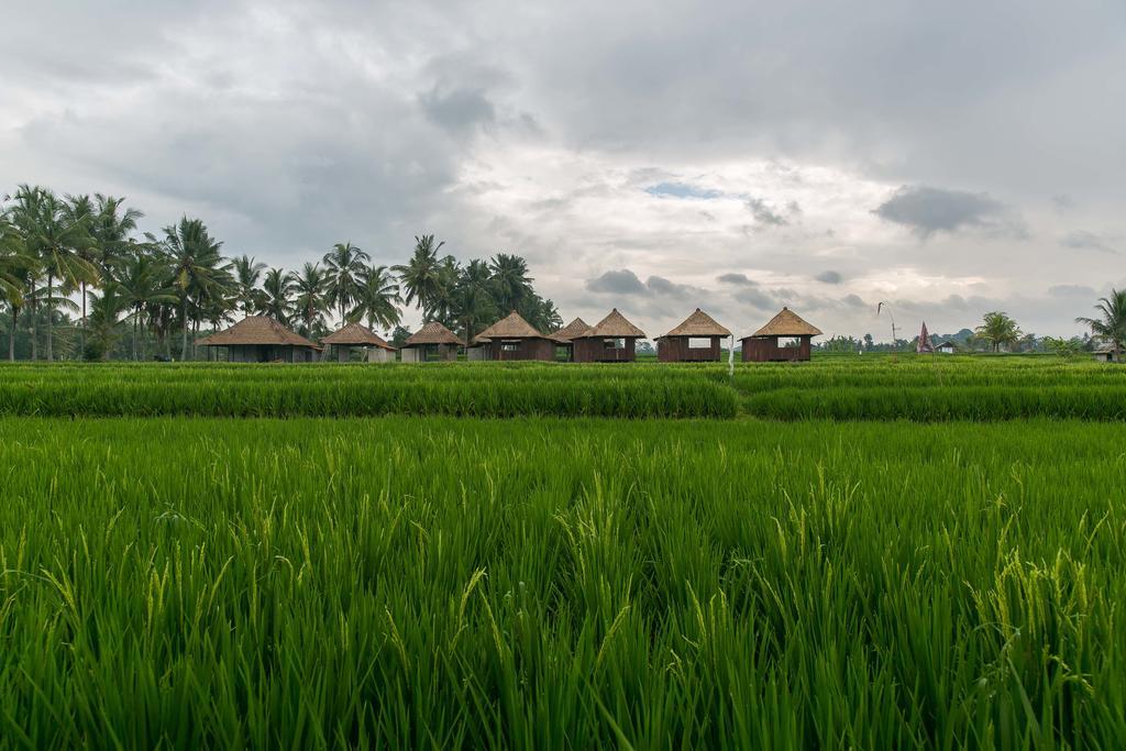 Solo Villas & Retreat Ubud  Ngoại thất bức ảnh