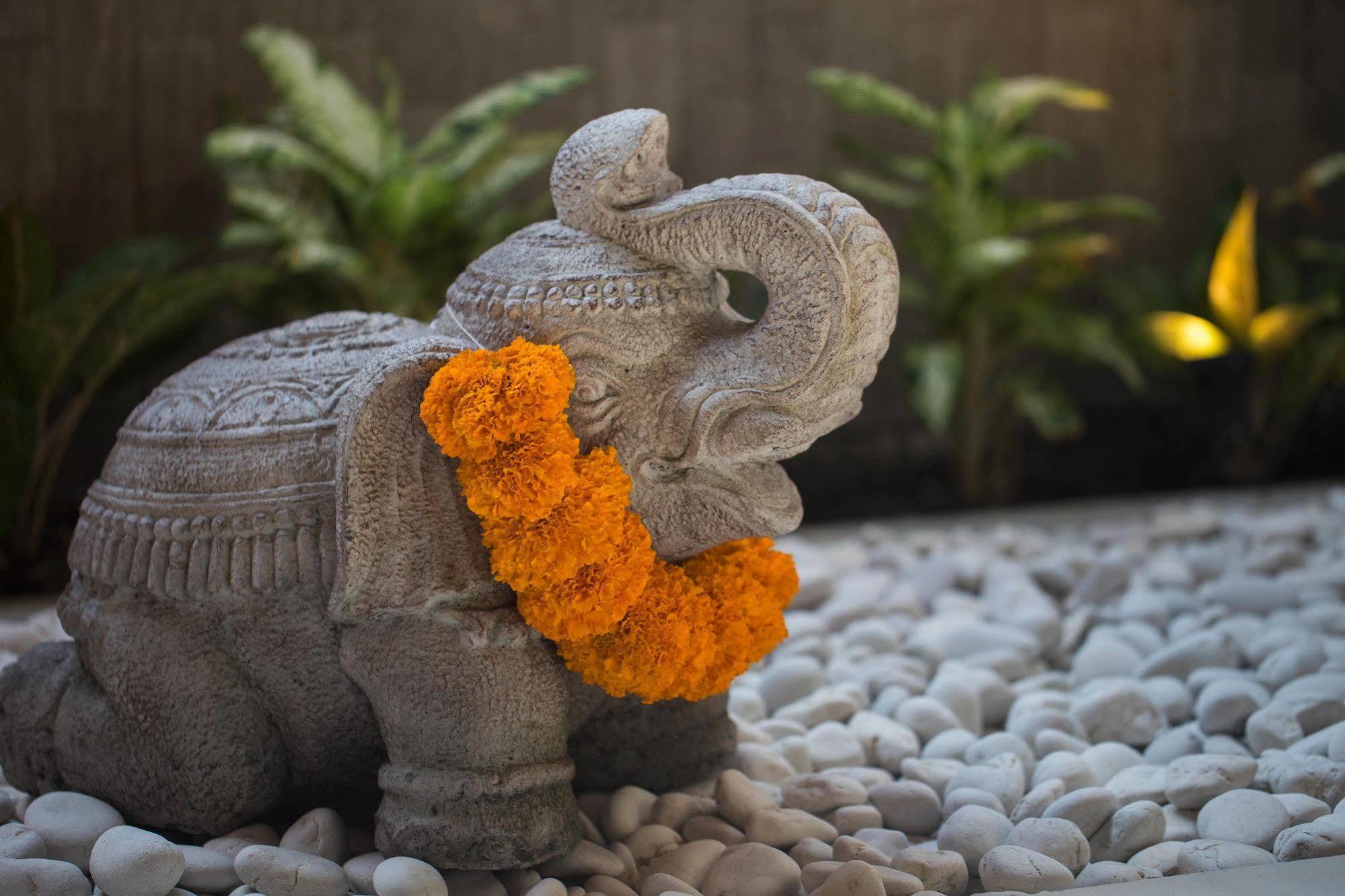 Solo Villas & Retreat Ubud  Ngoại thất bức ảnh